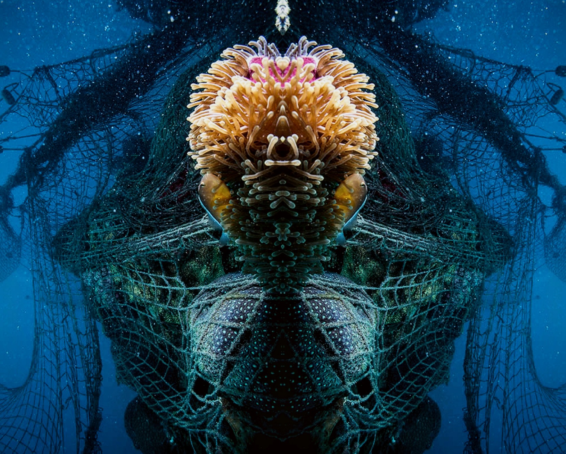 Bottom Trawling